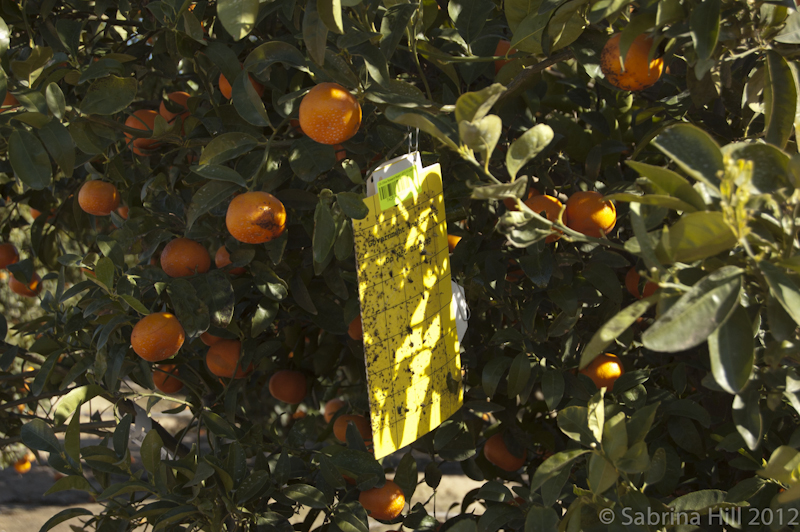 Research Bill Dies Research Bill Dies