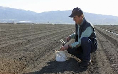 Michael Cahn Michael Cahn