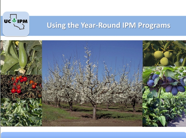 Pest Management Pest Management