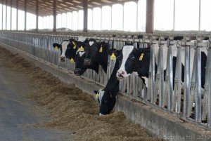 cooling technologies