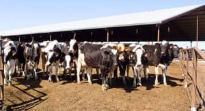 Alternative Manure Management Program