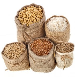 small grains