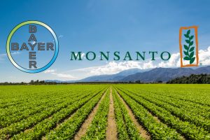 bayer monsanto