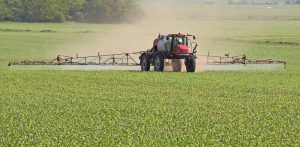 dicamba